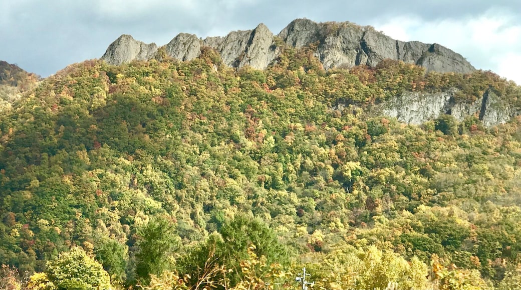 Another view with autumn trees and leaves along the journey to Jozankei.
In many parts of Japan I am often presented with nice surprises to the extent I feel extremely grateful to be able to traverse across this amazing country. Love this country!