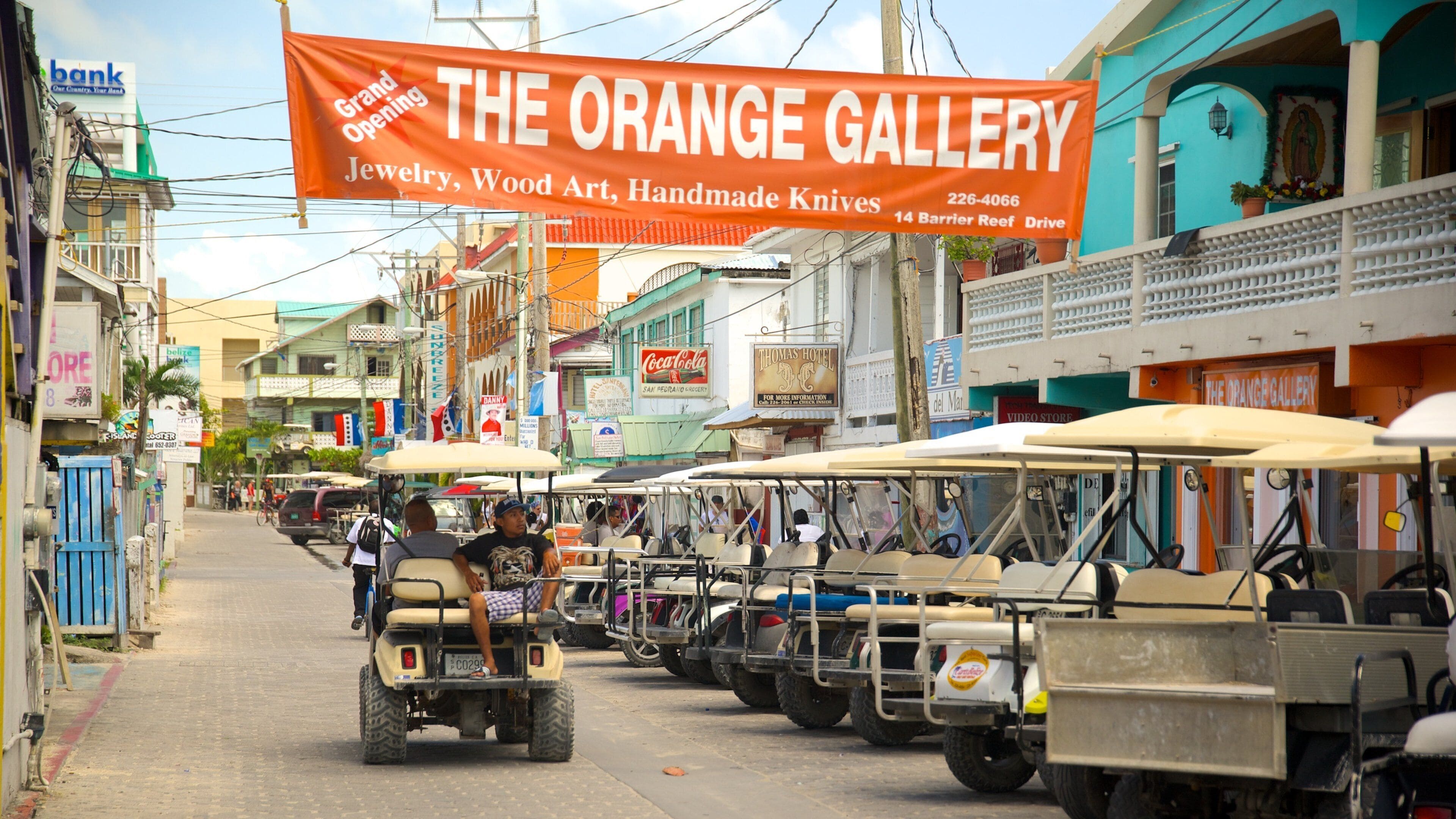 San Pedro showing a city