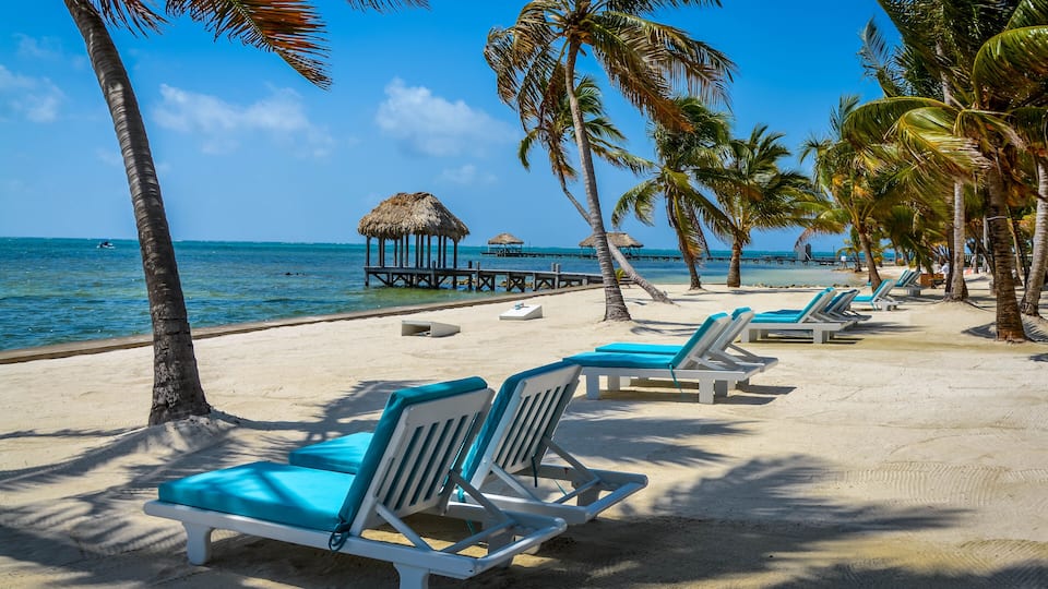 A beach with lounge chairs, palm trees, and thatched huts.