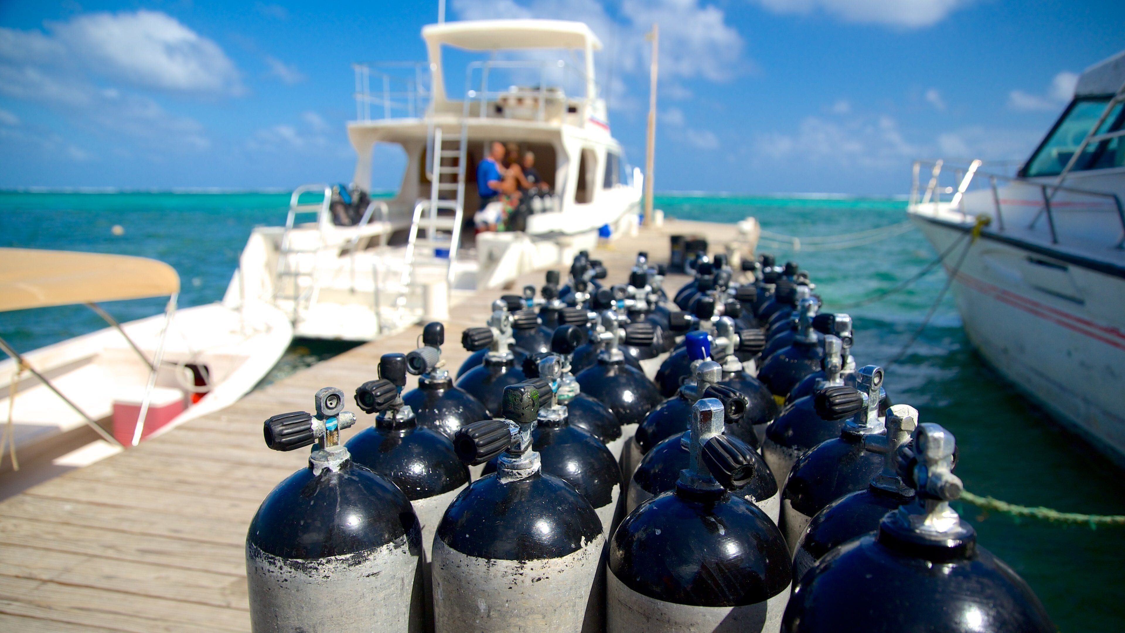 San Pedro bevat scuba, een jachthaven en algemene kustgezichten