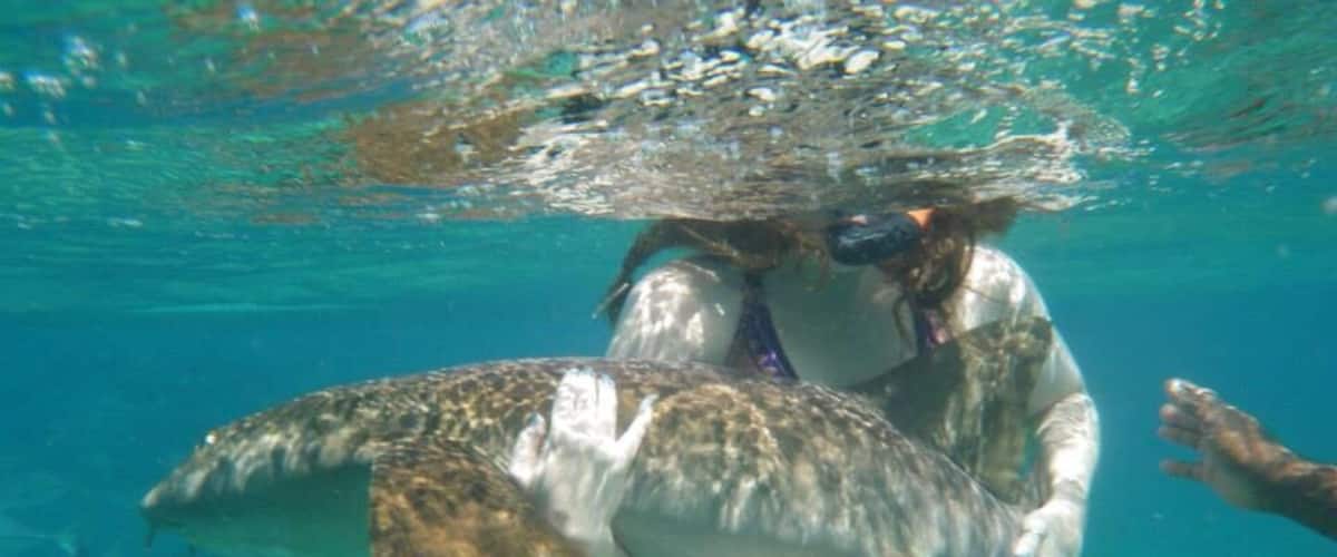Awesome day snorkeling four sites. Who knew I'd be bear hugging a nerf shark that day!