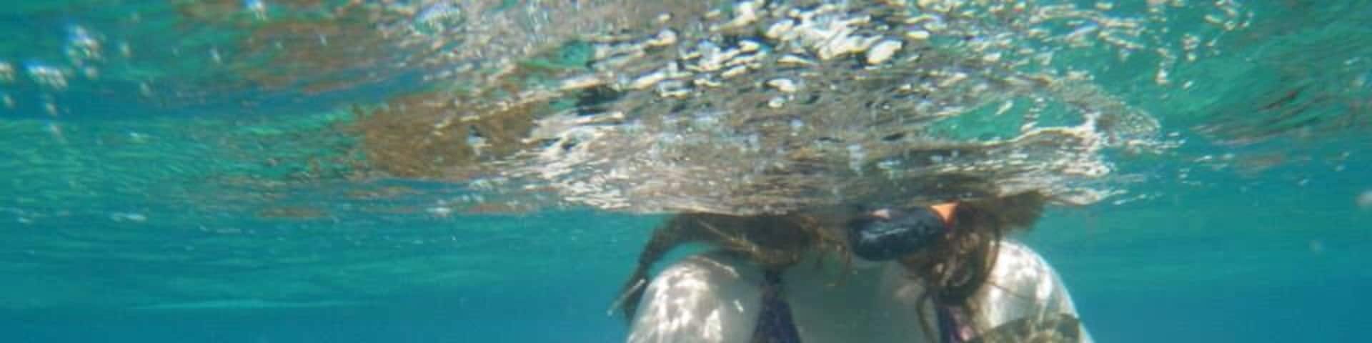 Awesome day snorkeling four sites. Who knew I'd be bear hugging a nerf shark that day!