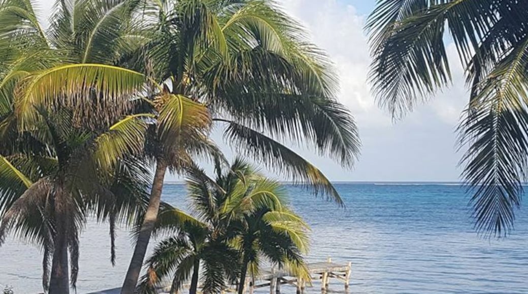 View from our amazing vacation rental in San Pedro, Belize. #LifeAtExpedia