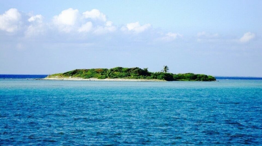 #green
Off the San Pedro Coast a little green amongst blue vastness.