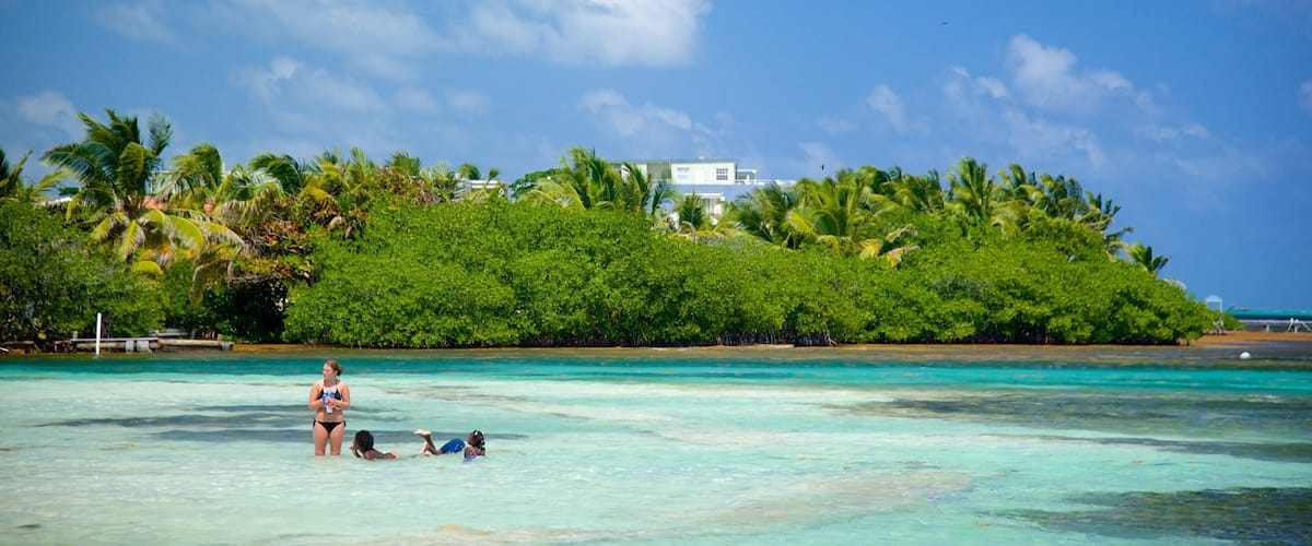 A tropical beach with clear turquoise waters, palm trees, and a white building on a hill.