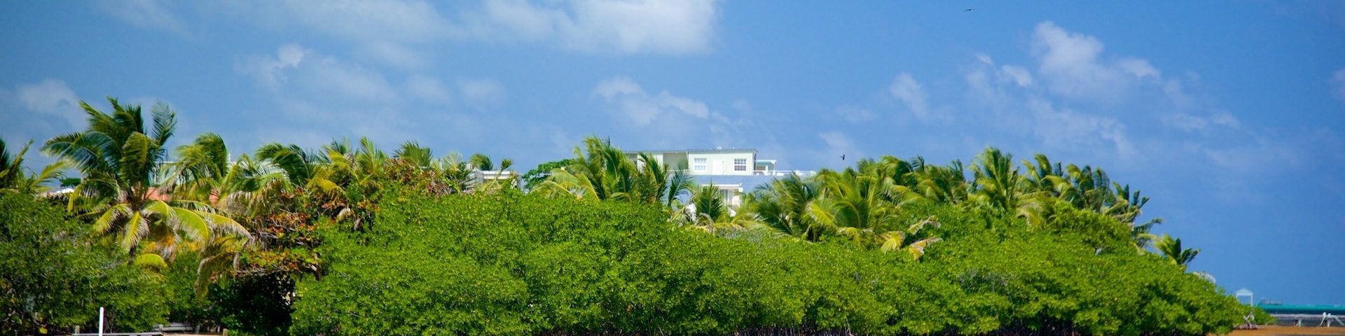 A tropical beach with clear turquoise waters, palm trees, and a white building on a hill.
