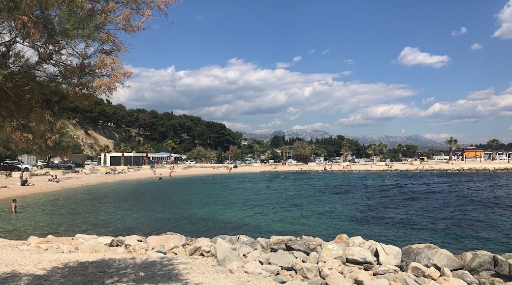 Perfect beach for snorkeling and enjoying the sea. There are large kelp plants just 30' from the shore that attract lots of fish, just don't expect tropical colors.