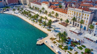 A coastal cityscape with a waterfront promenade lined with palm trees and historic buildings.