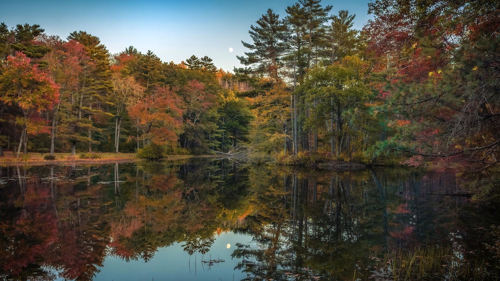 A serene lake surrounded by autumn-colored trees and a clear reflection of the sky.