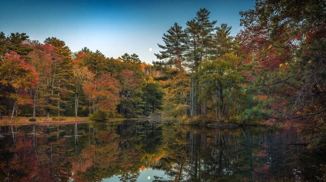 A serene lake surrounded by autumn-colored trees and a clear reflection of the sky.