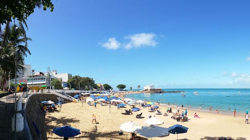 Panoramic of Porto da Barra Beach in Salvador Bahia Brazil