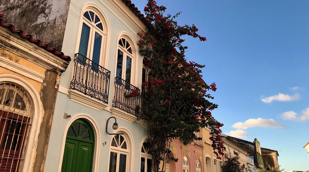 Nice houses in the street of Do Carmo convent.