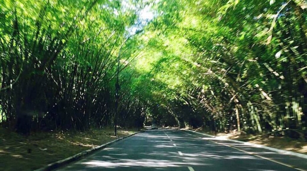 Just after leave from Salvador Airport going to the city ...