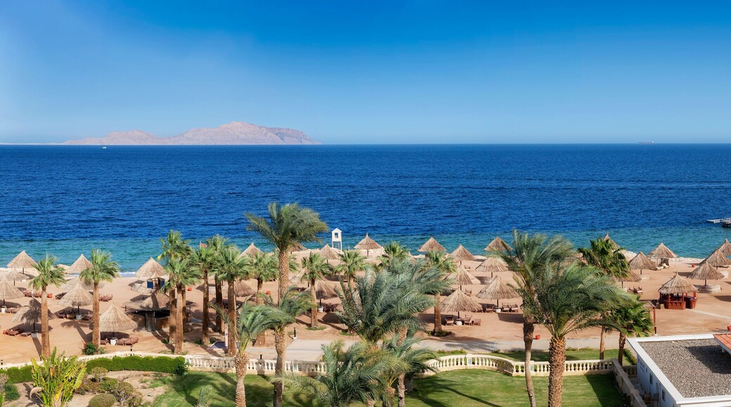 Panoramic view of Sunny beach in tropical resort with palm trees and umbrellas, aerial view in Red Sea coast in Egypt, Africa.