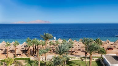 Panoramic view of Sunny beach in tropical resort with palm trees and umbrellas, aerial view in Red Sea coast in Egypt, Africa.