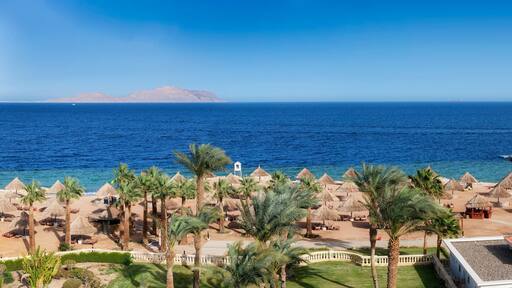 Panoramic view of Sunny beach in tropical resort with palm trees and umbrellas, aerial view in Red Sea coast in Egypt, Africa.