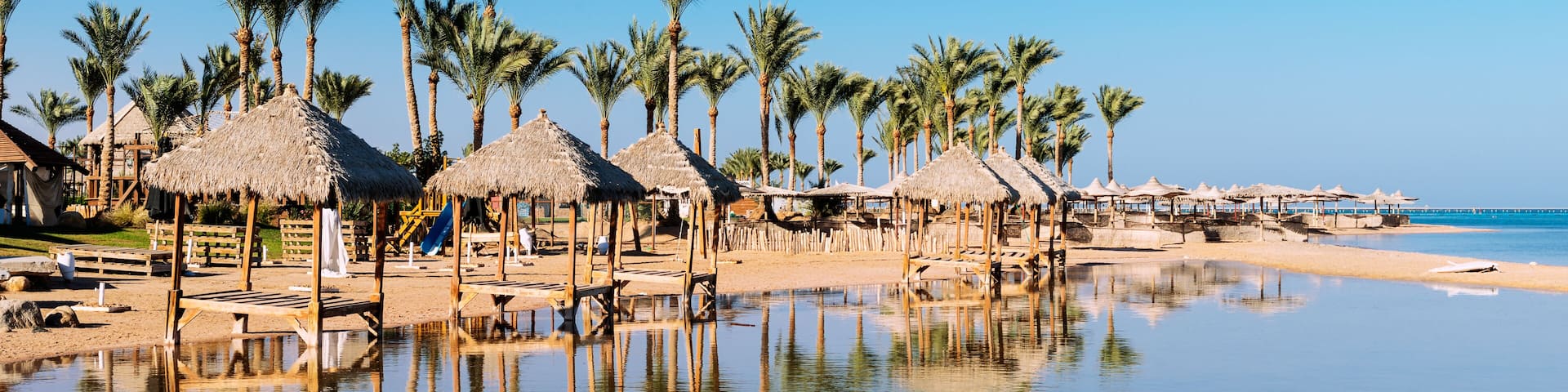 Beautiful beach with palm trees at sunset, Sharm El Sheikh, Red sea, Egypt, Shutterstock ID 582892096, SF SSA Case with Manager Approval: Case 07151371, Job: Prepay credit, Client/Licensee: , Other: