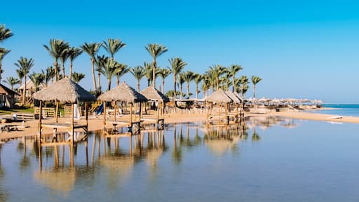 Beautiful beach with palm trees at sunset, Sharm El Sheikh, Red sea, Egypt, Shutterstock ID 582892096, SF SSA Case with Manager Approval: Case 07151371, Job: Prepay credit, Client/Licensee: , Other: