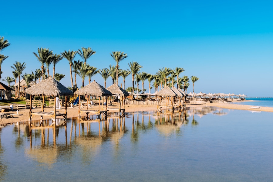 Beautiful beach with palm trees at sunset, Sharm El Sheikh, Red sea, Egypt, Shutterstock ID 582892096, SF SSA Case with Manager Approval: Case 07151371, Job: Prepay credit, Client/Licensee: , Other: