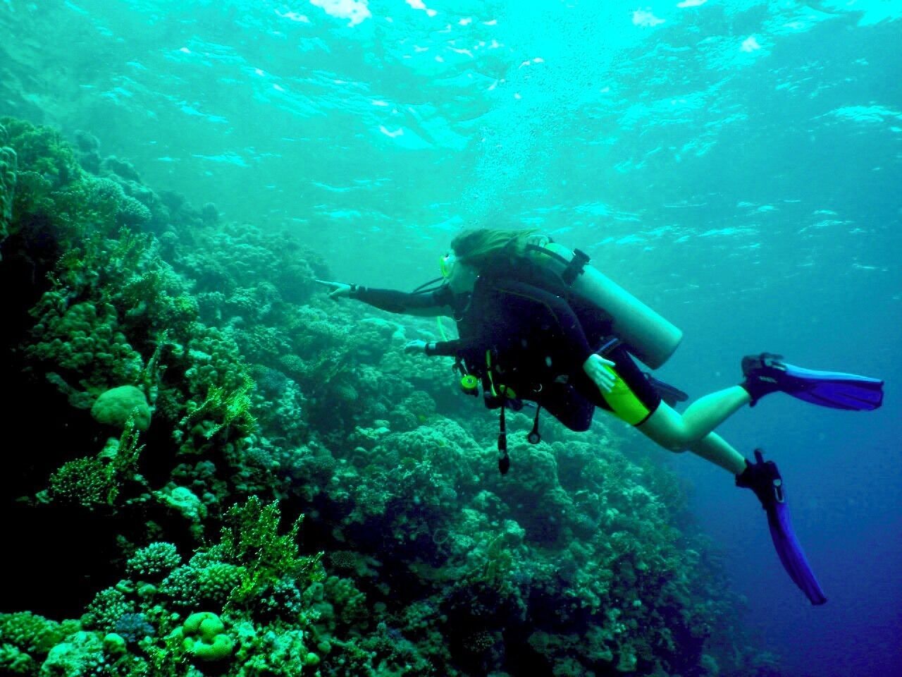 #TBT to my exploration of the underwater world of the #RedSea
#ScubaDiving #Adventure