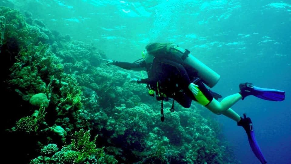 #TBT to my exploration of the underwater world of the #RedSea
#ScubaDiving #Adventure