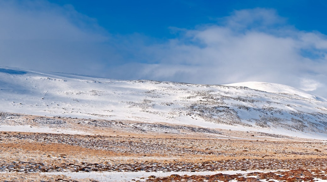 View of St. George Island in early spring, Pribilof Islands, Alaska, USA