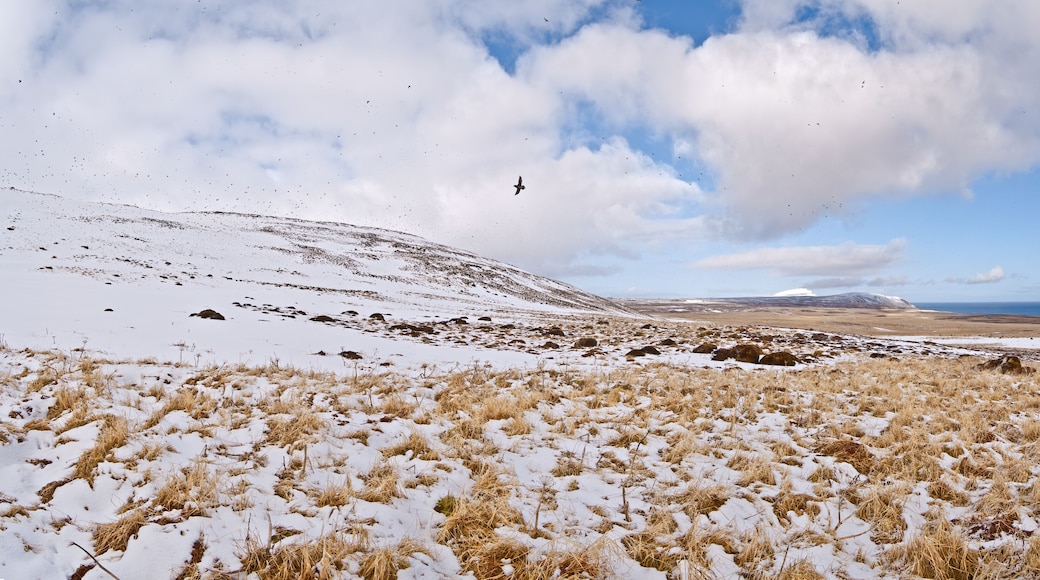 View of St. George Island in early spring, Pribilof Islands, Alaska, USA