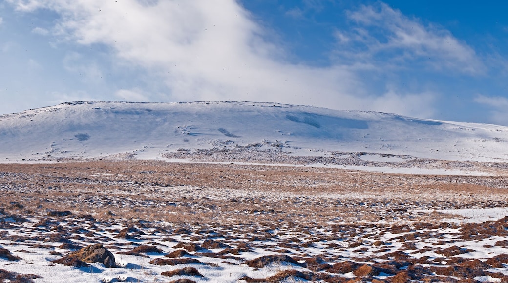 View of St. George Island in early spring, Pribilof Islands, Alaska, USA