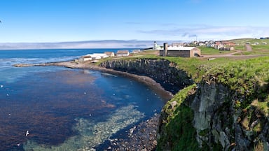 A coastal village with houses, a lighthouse, and cliffs.