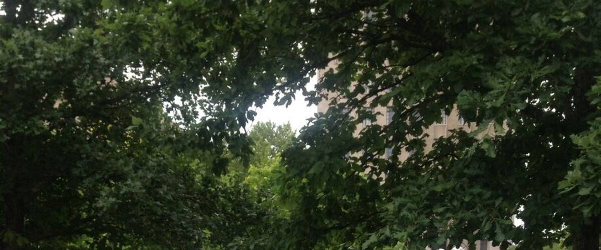 City Garden, St Louis.