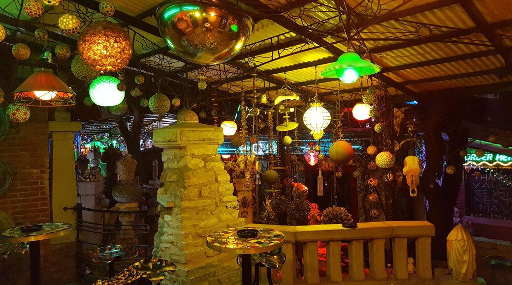 One of the coolest hidden gems in the city of St. Louis, Missouri, USA. This is Venice Cafe. The venue features live music and is covered in mosaics and random art. This is a photo outside on the patio. #urbanjungle #stlouis #missouri #venicecafe