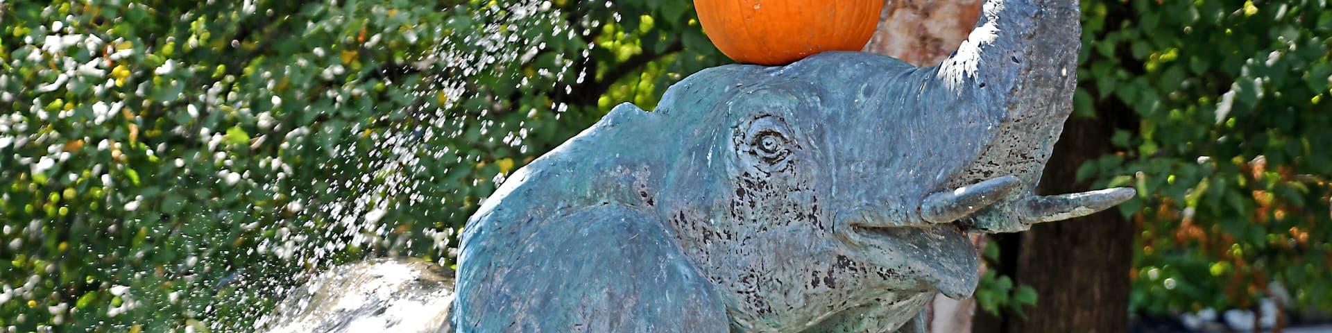 Halloween 2019 at the zoo.