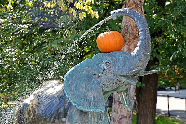 Halloween 2019 at the zoo.