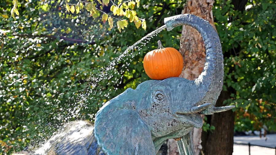 Halloween 2019 at the zoo.