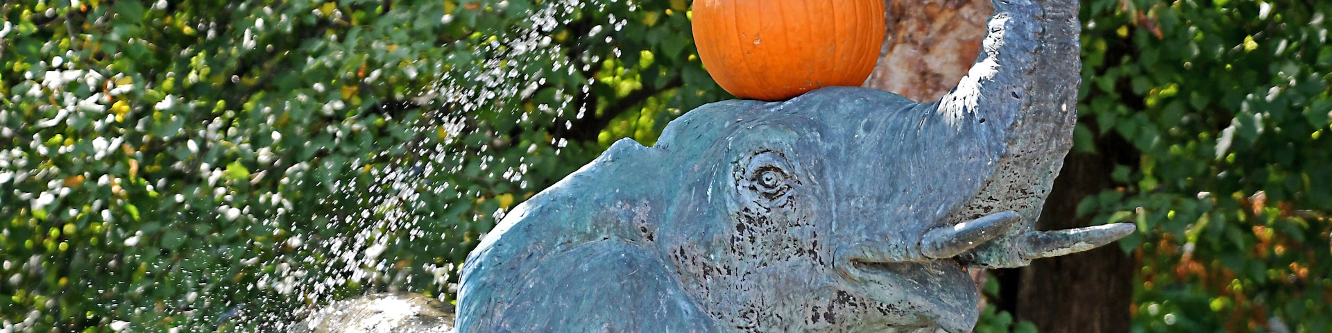 Halloween 2019 at the zoo.