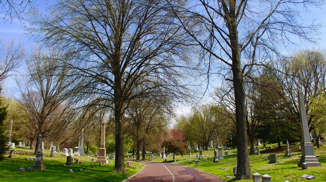 Bellefontaine Cemetery is a nonprofit, non-denominational cemetery and arboretum located in St. Louis, Missouri. Founded in 1849 as a rural cemetery, Bellefontaine is home to a number of architecturally significant monuments and mausoleums such as the Louis Sullivan-designed Wainwright Tomb, which is listed on the National Register of Historic Places. The cemetery contains 314 acres of land and over 87,000 graves, including those of William Clark, Adolphus Busch, Thomas Hart Benton, and William S. Burroughs. Many Union and Confederatesoldiers from the American Civil War are buried at Bellefontaine, as well as numerous local and state politicians.
As of 2012 over 87,000 people have been buried at Bellefontaine Cemetery, and approximately 100 new burials take place each year. Bellefontaine remains a non-profit, non-denominational cemetery, and still holds over 100 acres of open, unused land. Some of this extra land has recently been converted into prairie and woodland. Bellefontaine contains over 14 miles of paved roads and, as an accredited arboretum, is home to over 180 species of trees and shrubs. A new lakeside garden and columbarium were completed in 2010, and other major landscaping projects are planned or in progress.
The cemetery contains the graves of many prominent pioneers to the West, as well as businessmen, politicians, and generals who remain significant figures in the history of St. Louis and the United States. The oldest graves in the cemetery are located on pioneer Edward Hempsteadâs family lot and date as far back as 1816. Many of the wealthiest families at Bellefontaine are interred in ornate mausoleums which overlook the Mississippi River and draw from Classical, Romanesque, Gothic, and Egyptian architectural styles. Among the most notable mausoleums in the cemetery are: the Wainwright Tomb, designed for Charlotte Dickson Wainwright by the famed Chicago school architect Louis Sullivan in 1892; the Busch Mausoleum, designed for Adolphus Busch and Lilly Anheuser by Barnett, Haynes & Barnett in 1915; and the Brown Brothers Mausoleums, designed in 1910 by Isaac Taylor and in 1928 by Mauran, Russell and Crowell. There are also a number of large family plots in the cemetery, many of which are marked by tall obelisk monuments with elaborate bases. Guided tours of the cemeteryâs main historical and architectural highlights are available and are open to the public. Alternatively, visitors can obtain self-guided tour brochures at the cemetery office.
The cemetery was listed on the National Register of Historic Places in 2014.
#LIFEATEXPEDIA