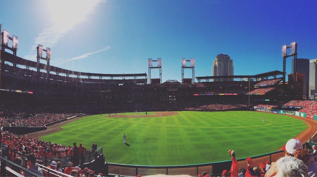 Go the Cards 💪🏼