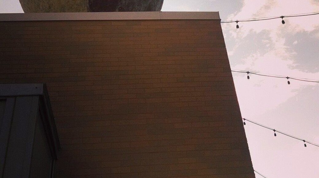 The rooftop is the best spot at the Moonrise Hotel in St. Louis, MO. You can overlook the "Loop" area and relax with some drinks and appetizers.