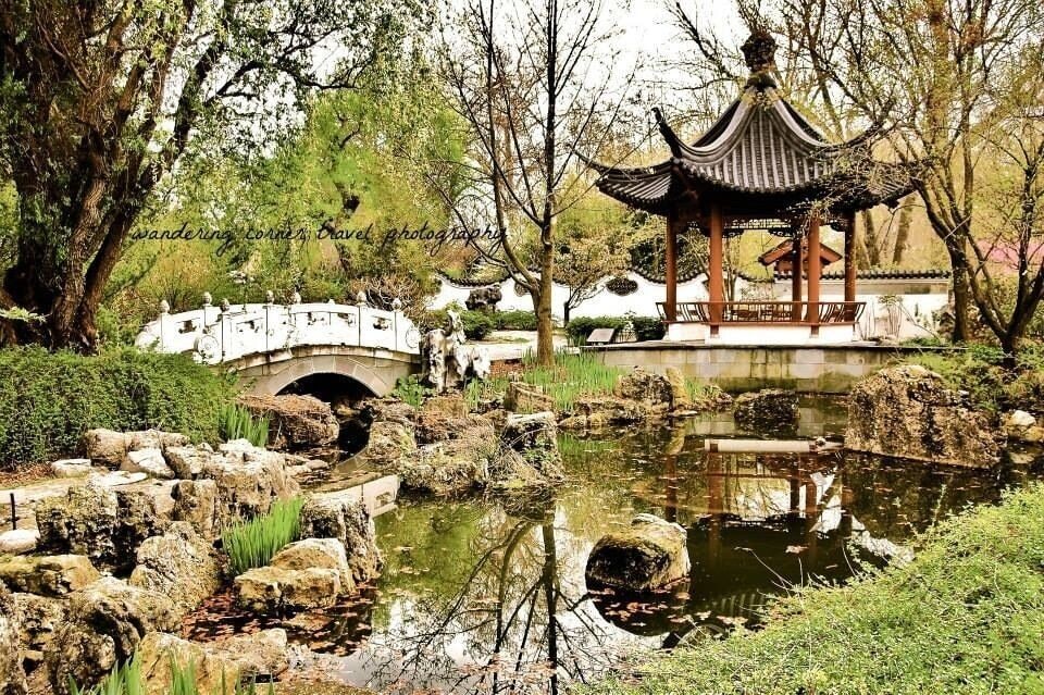The Japanese Garden! This photo will be featured in the St Louis Home magazine Fall edition on stands September! #architecture