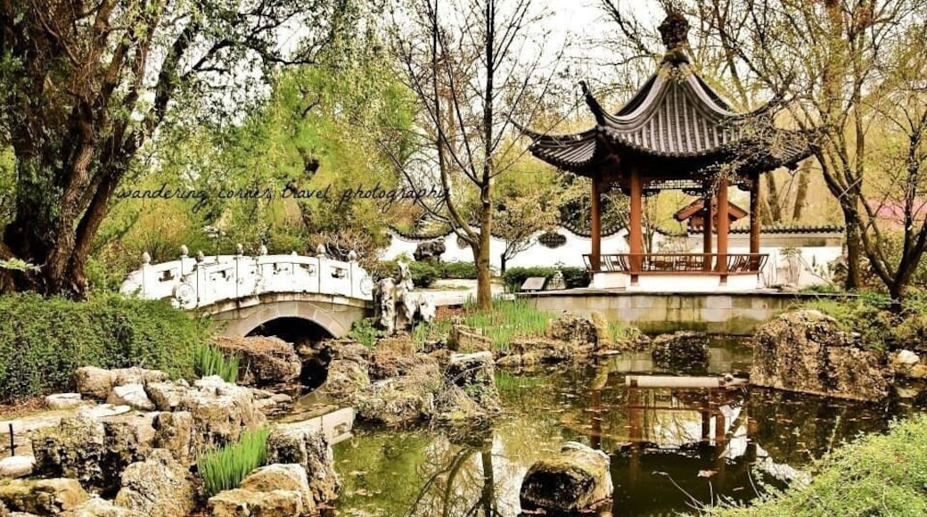 The Japanese Garden! This photo will be featured in the St Louis Home magazine Fall edition on stands September! #architecture