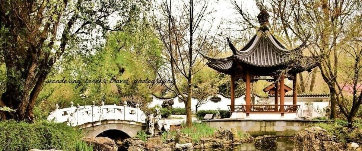 The Japanese Garden! This photo will be featured in the St Louis Home magazine Fall edition on stands September! #architecture