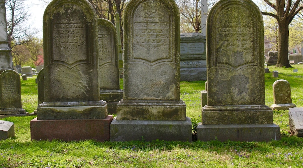 Bellefontaine Cemetery is a nonprofit, non-denominational cemetery and arboretum located in St. Louis, Missouri. Founded in 1849 as a rural cemetery, Bellefontaine is home to a number of architecturally significant monuments and mausoleums such as the Louis Sullivan-designed Wainwright Tomb, which is listed on the National Register of Historic Places. The cemetery contains 314 acres of land and over 87,000 graves, including those of William Clark, Adolphus Busch, Thomas Hart Benton, and William S. Burroughs. Many Union and Confederatesoldiers from the American Civil War are buried at Bellefontaine, as well as numerous local and state politicians.
As of 2012 over 87,000 people have been buried at Bellefontaine Cemetery, and approximately 100 new burials take place each year. Bellefontaine remains a non-profit, non-denominational cemetery, and still holds over 100 acres of open, unused land. Some of this extra land has recently been converted into prairie and woodland. Bellefontaine contains over 14 miles of paved roads and, as an accredited arboretum, is home to over 180 species of trees and shrubs. A new lakeside garden and columbarium were completed in 2010, and other major landscaping projects are planned or in progress.
The cemetery contains the graves of many prominent pioneers to the West, as well as businessmen, politicians, and generals who remain significant figures in the history of St. Louis and the United States. The oldest graves in the cemetery are located on pioneer Edward Hempstead’s family lot and date as far back as 1816. Many of the wealthiest families at Bellefontaine are interred in ornate mausoleums which overlook the Mississippi River and draw from Classical, Romanesque, Gothic, and Egyptian architectural styles. Among the most notable mausoleums in the cemetery are: the Wainwright Tomb, designed for Charlotte Dickson Wainwright by the famed Chicago school architect Louis Sullivan in 1892; the Busch Mausoleum, designed for Adolphus Busch and Lilly Anheuser by Barnett, Haynes & Barnett in 1915; and the Brown Brothers Mausoleums, designed in 1910 by Isaac Taylor and in 1928 by Mauran, Russell and Crowell. There are also a number of large family plots in the cemetery, many of which are marked by tall obelisk monuments with elaborate bases. Guided tours of the cemetery’s main historical and architectural highlights are available and are open to the public. Alternatively, visitors can obtain self-guided tour brochures at the cemetery office.
The cemetery was listed on the National Register of Historic Places in 2014.
#LIFEATEXPEDIA