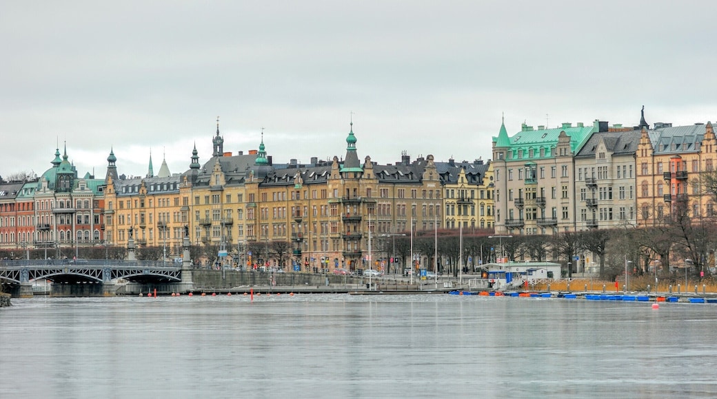 Strandvägen is located in central Stockholm. A 900 meter long boulevard with exclusive stone house from last century. Most of them were built ready for the Stockholm World's Fair (Stockholmsutställningen), in 1897.