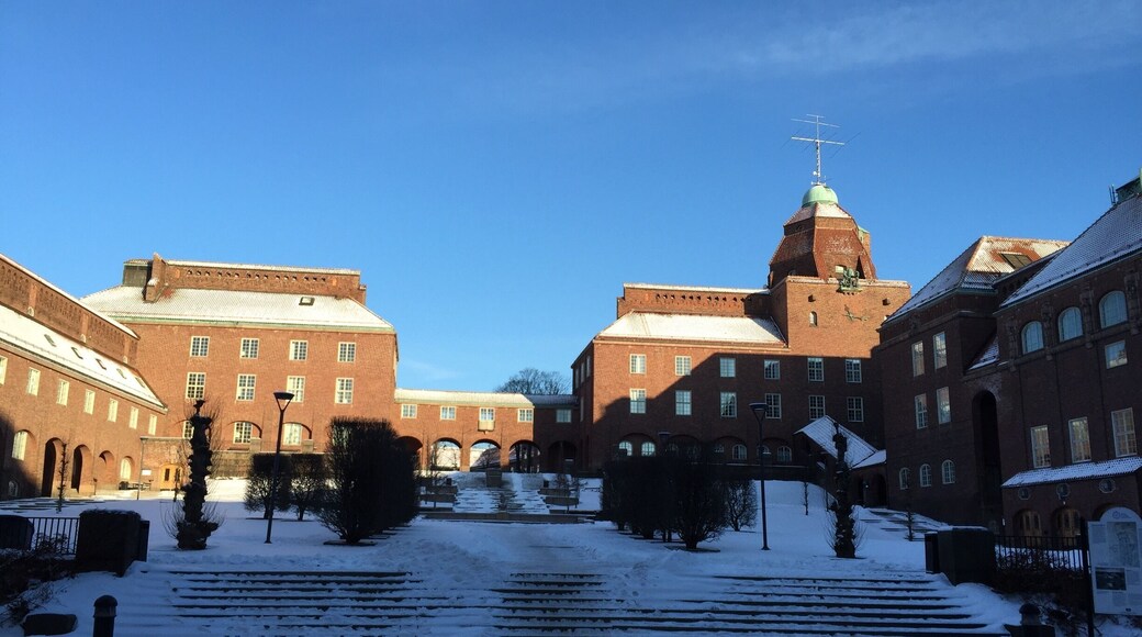 Royal Institute of Technology, Sweden in snow:)