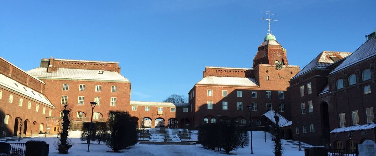 Royal Institute of Technology, Sweden in snow:)