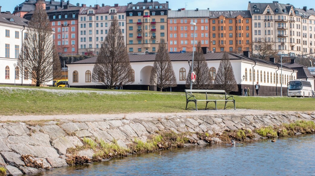 Rörstrandsgatan is a street in Vasastan in central Stockholm that goes straight through Birkastan and stretches from St. Eriksgatan to Karlbergsvägen. The name derives from the medieval village Rörstrandsgatan the same spot as the street begins.
The area was one of the most important places during the Viking Age.