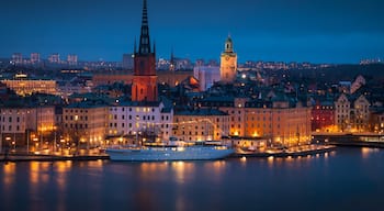 A lovely view of central Stockholm as seen from Skinnarviksberget on Södermalm.