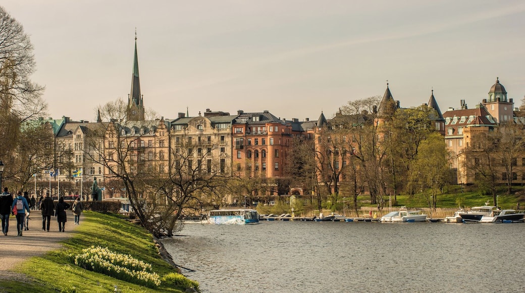 Parque Real Djurgården