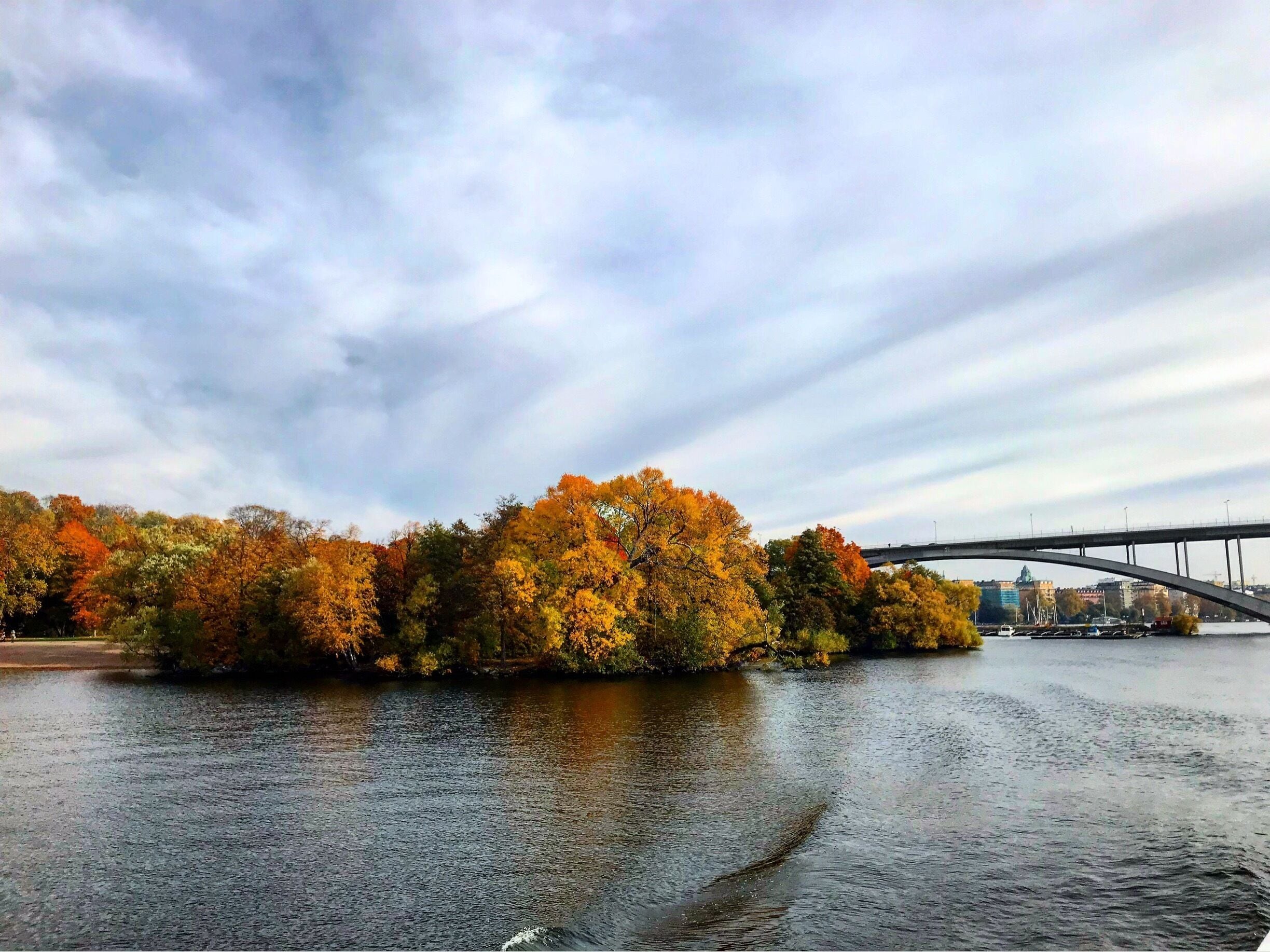 Perfect fall foliage during a ferry ride