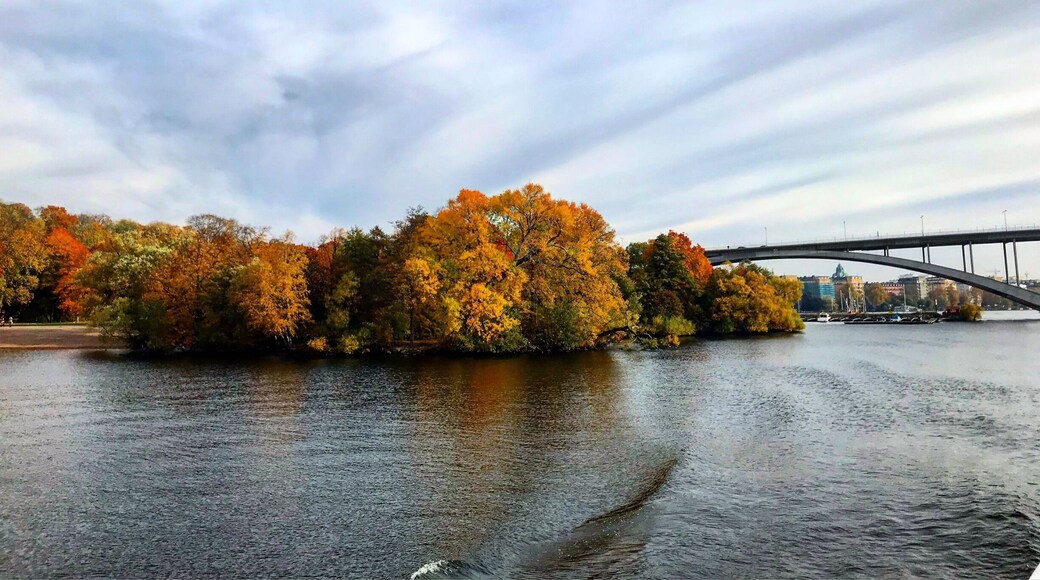 Perfect fall foliage during a ferry ride